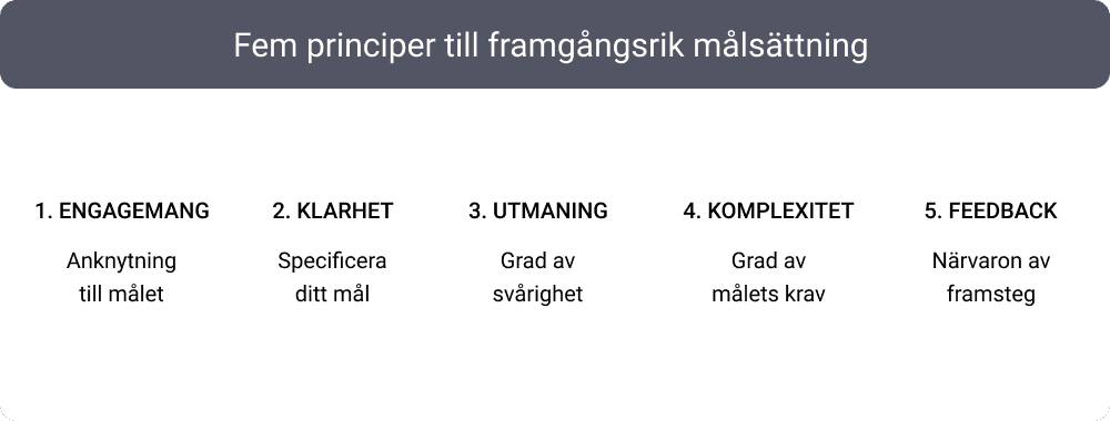 framgångsrik målsättning